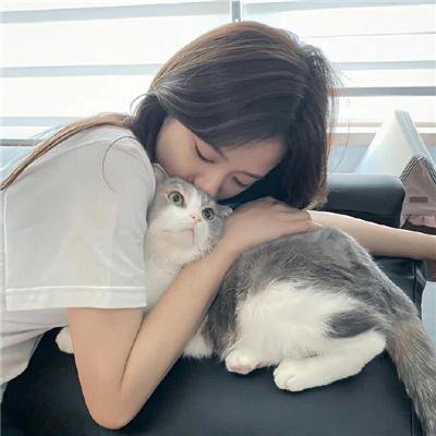 奶爸当家
